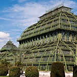 Glasgow Botanic Gardens - das Palmenhaus